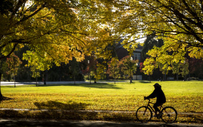 Nov. Newsletter: So Much to Be Thankful For