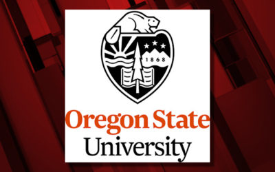 KTVZ: Nearly $5M grant to establish children’s environmental health research center at OSU
