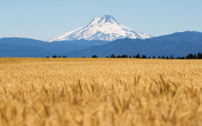 Support the OSU Statewide Public Service Programs